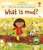 Lift-the-Flap Very First Questions and Answers: What is Mud?